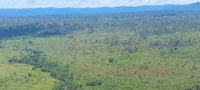 Governo Federal inicia força-tarefa contra garimpo ilegal na Terra Indígena Kayapó (PA)
