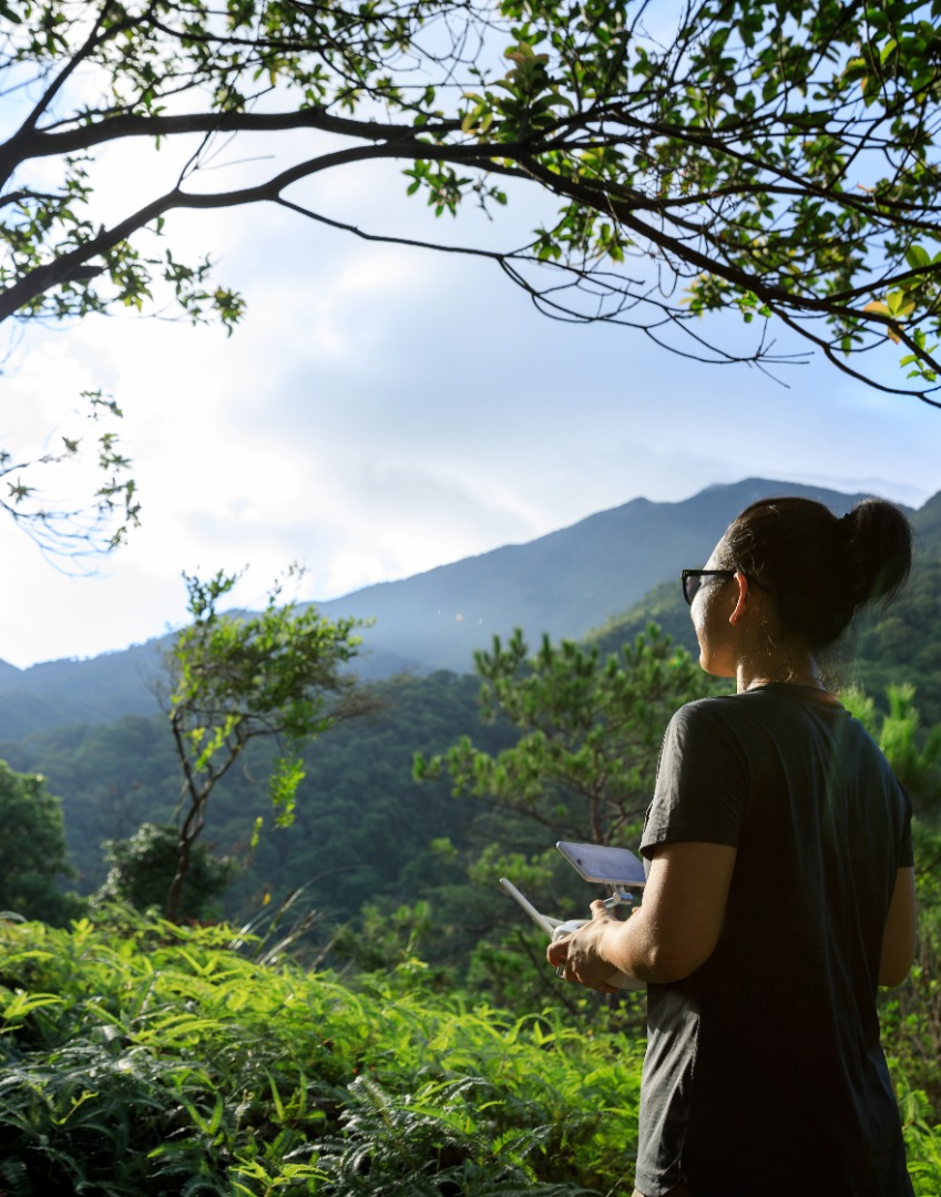 202-07-07 lzf via Envato Elements.jpg