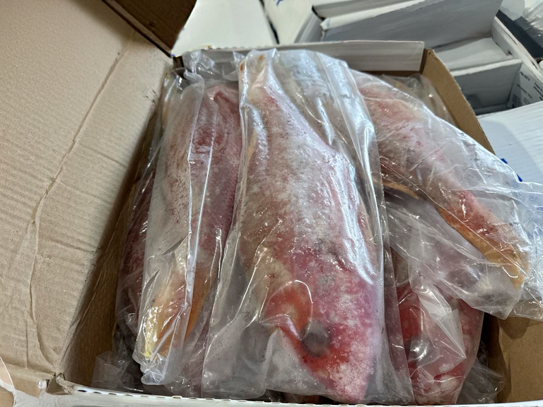 2025-06-18 Parte da carga apreendida não apresentava controle ambiental.png