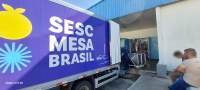 Ibama apreende 15 toneladas de pescado irregular no RS