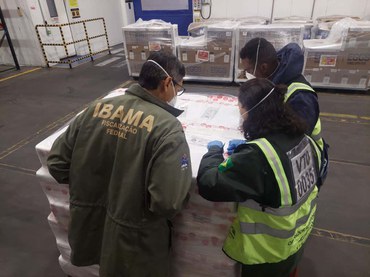 A ação do Ibama identificou irregularidades na pesca, na documentação e no processo de exportação