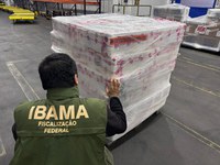 Ibama apreende 2,6 toneladas de pescado irregular no Aeroporto de Viracopos