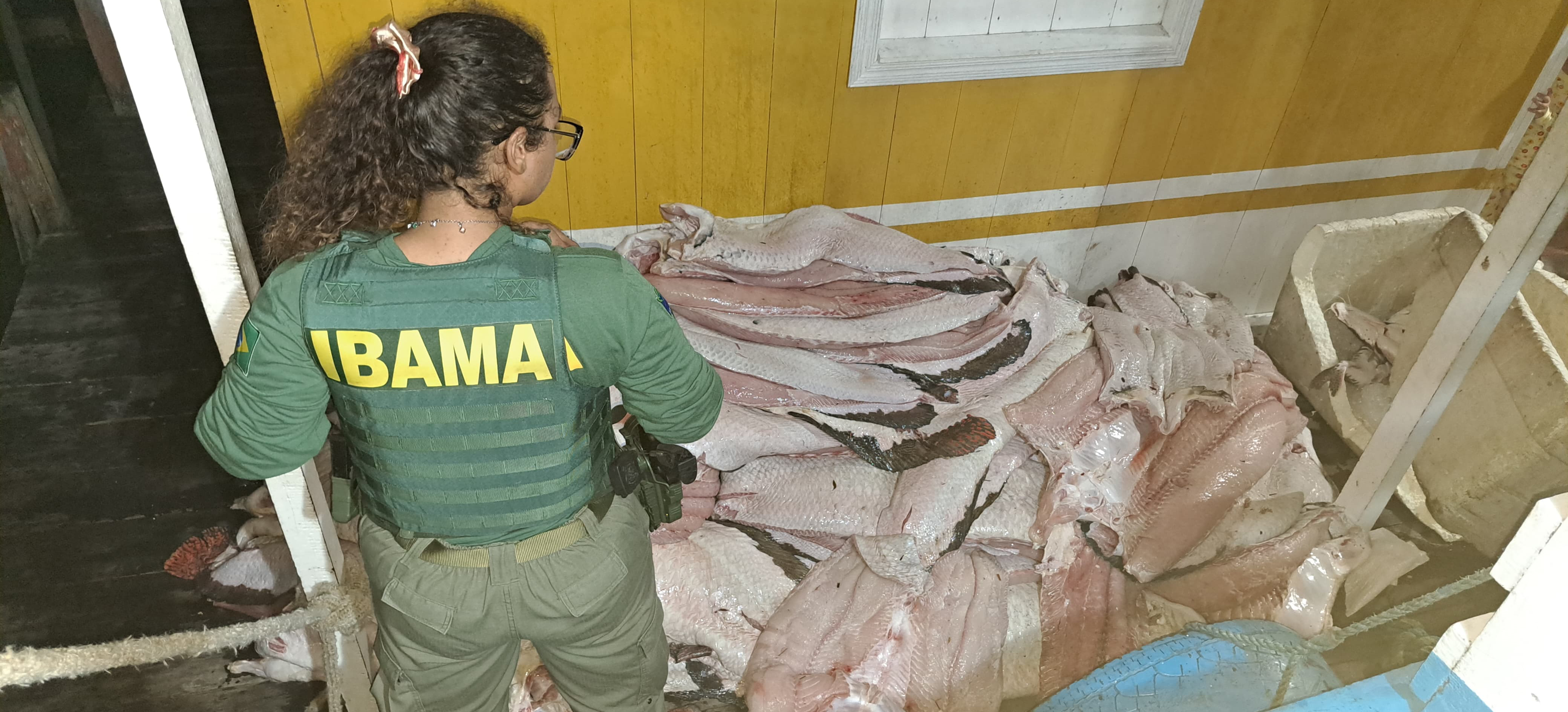 2025-05-05 Agentes em ação na Operação Gaspar I.jpeg