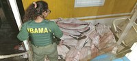 Ibama apreende 4 toneladas de pescado ilegal no Amazonas