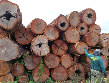 2025-05-26 Produto florestal apreendido sem origem legal comprovada.jpg