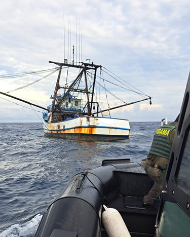 Embarcação é fiscalizada pelo Ibama em operação contra a pesca ilegal