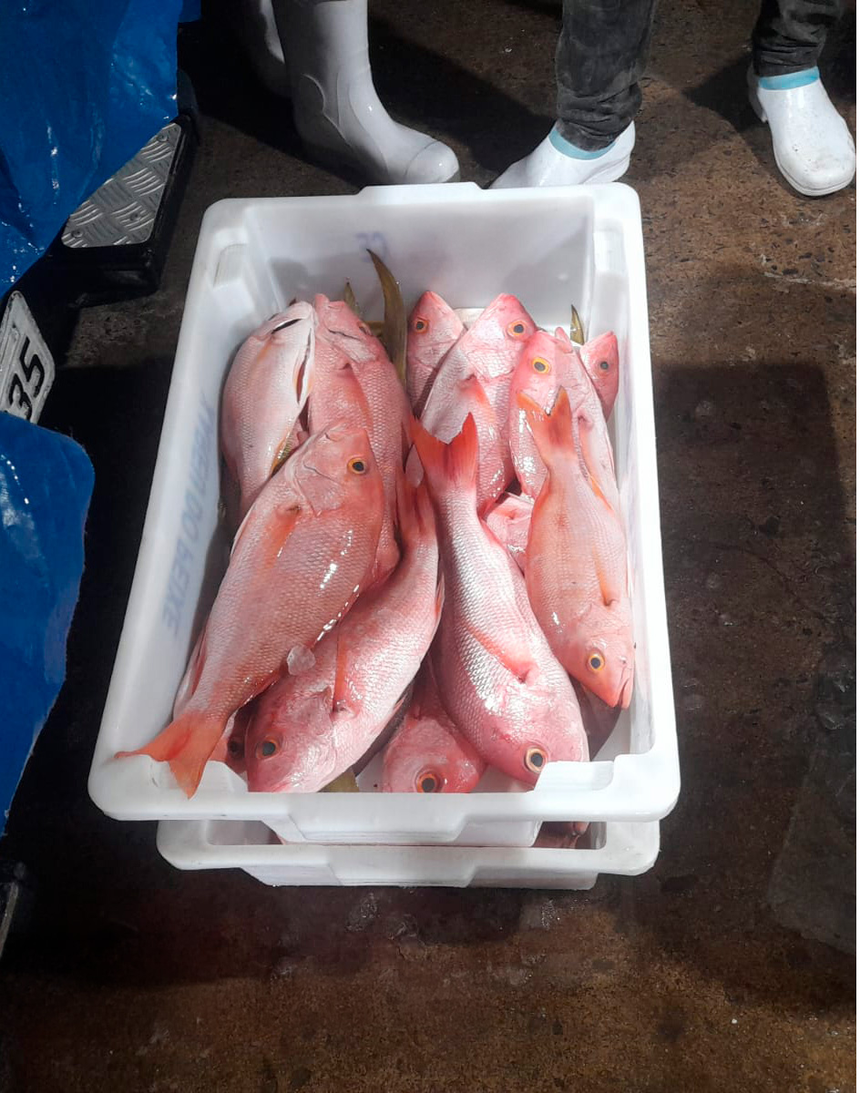 2025-05-12 Pargos apreendidos em embarcação no Porto de Camocim (CE).jpg