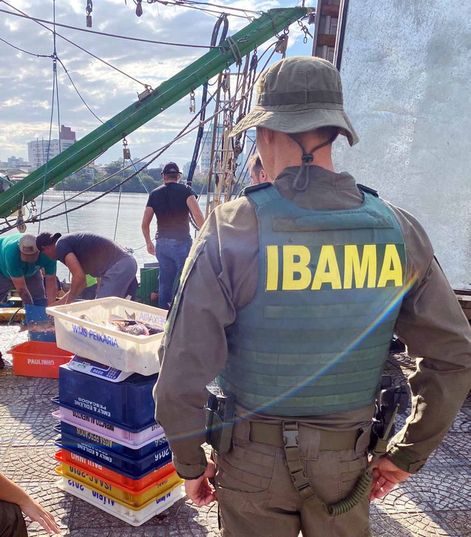 Operação Mugil em SC - Operação para identificar responsáveis por pesca ilegal da tainha.jpeg