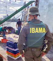 Ibama apreende embarcação por pesca ilegal de tainha em área protegida de Santa Catarina