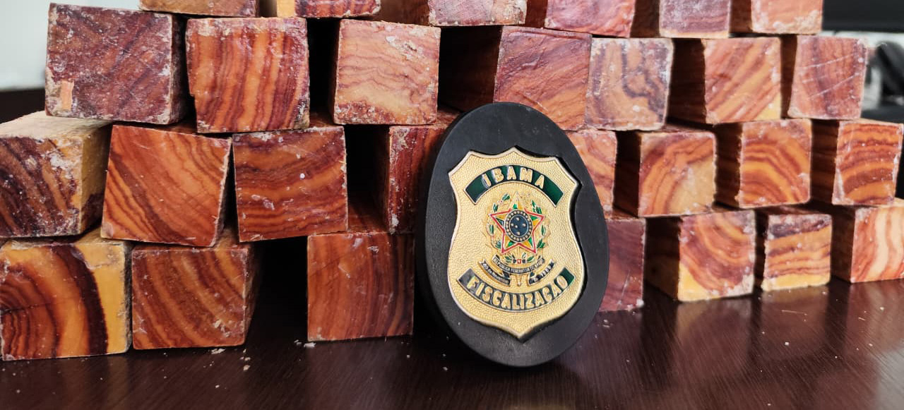 Operação Hermes COP apreendeu madeira nobre, barbatanas de tubarão, caranguejos vivos, bexigas natatórias e resíduos perigosos no Aeroporto Internacional de São Paulo