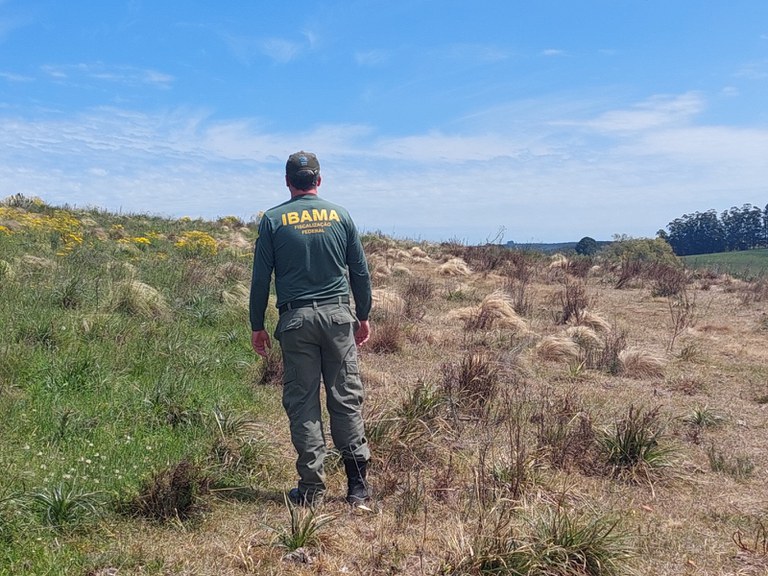 Fiscalização em área de campo nativo no Pampa