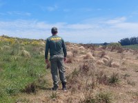 Ibama apura atuação de banco em financiamentos agrícolas com indícios de irregularidade