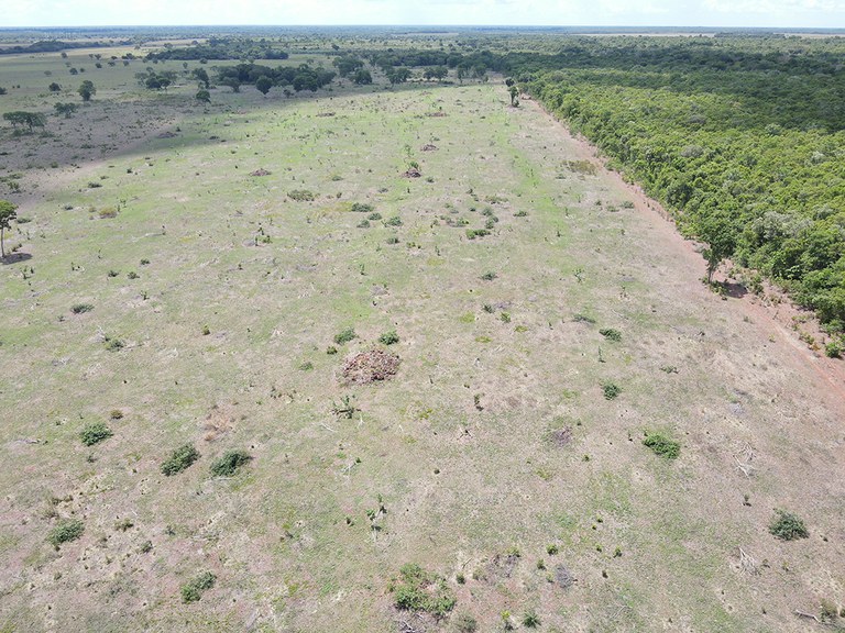 Vista aérea de um dos locais fiscalizados na operação