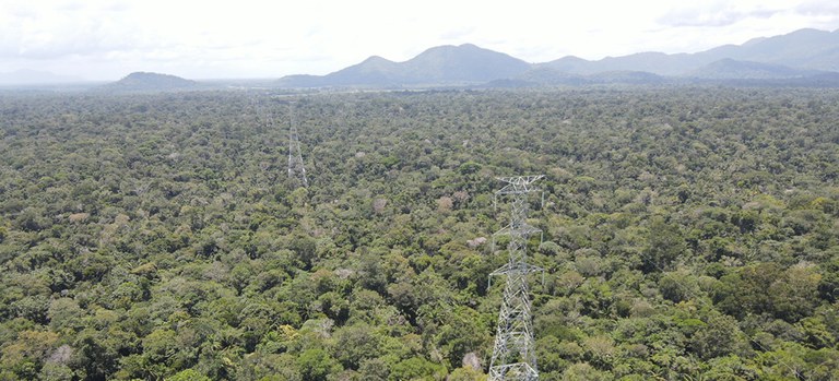 Linha de transmissão em extensa área florestal