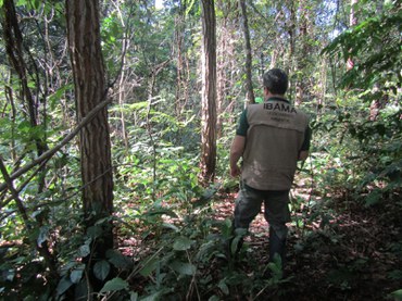 Servidor do Ibama durante vistoria em um fragmento florestal da região do empreendimento