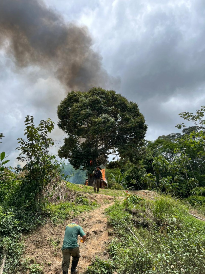 2025-11-17 Acampamento ilegal é destruído durante operação integrada na Terra Indígena Campinas Katukina, no Acre.jpg