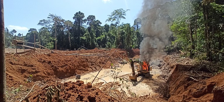 Operação Coatá contra o garimpo ilegal no Pará