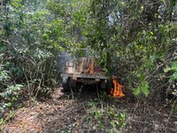 Ibama deflagra operação contra o desmatamento ilegal no Pará