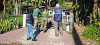 Ibama desmantela cativeiros ilegais em Santa Catarina