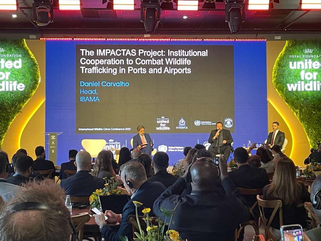 2025-11-06 Chefe da UT-Garulhos, Daniel Carvalho durante a palestra.jpeg