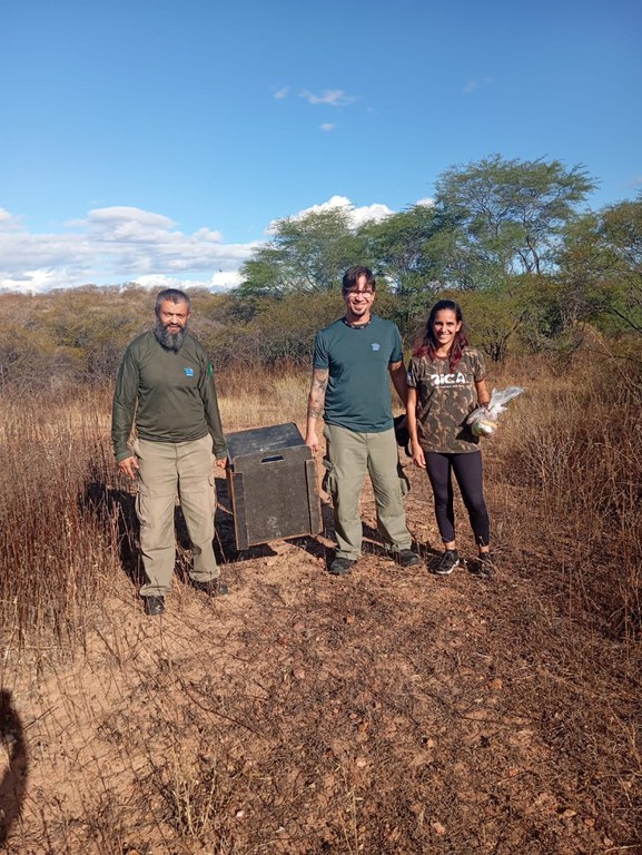 2025-07-03 Ibama realiza soltura de cachorro-do-mato reabilitado na região de Campina Grande (PB).jpg