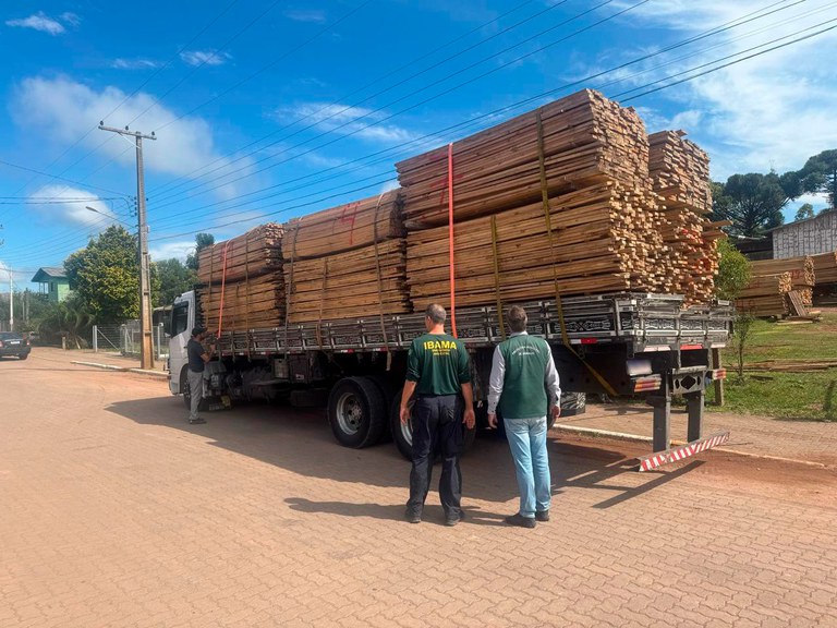 Madeira apreendida pelo Ibama será usada na construção de Cetas na Serra Gaúcha