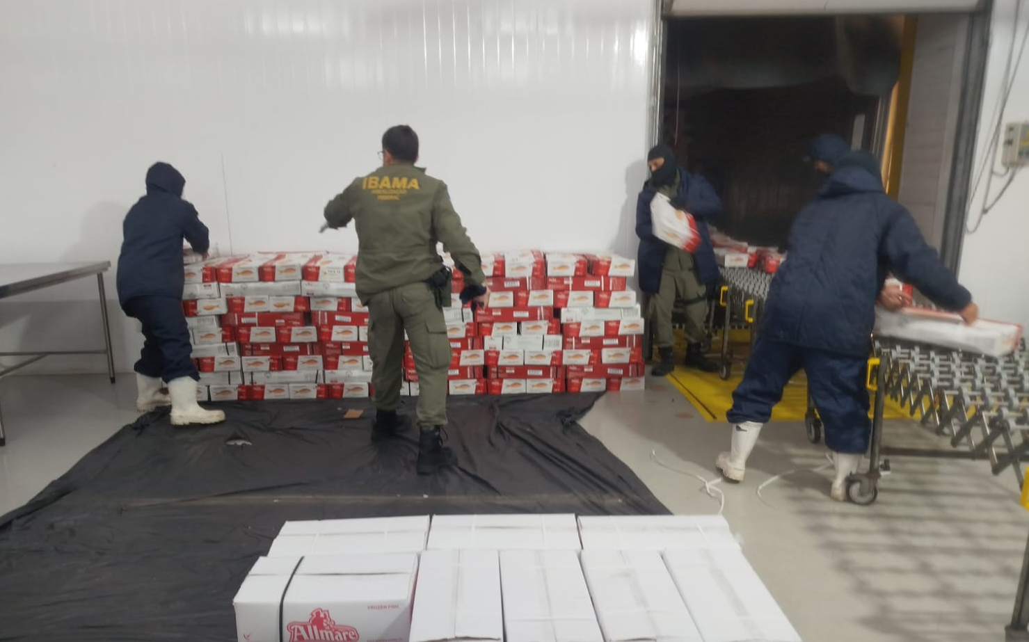 Apreensão pescado no Porto Pecém no Ceará