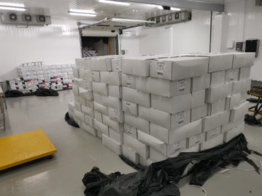 Apreensão de pescado durante defeso do pargo no Ceará