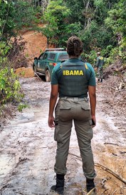 2025-09-04 Ibama embarga 16,4 mil hectares e aplica R$ 91 milhões em multas contra o desmatamento ilegal no AM.jpeg