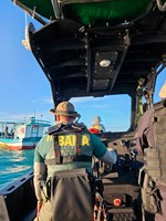 Ibama finaliza primeira fase da Operação Panulirus para combater pesca ilegal da lagosta no Nordeste