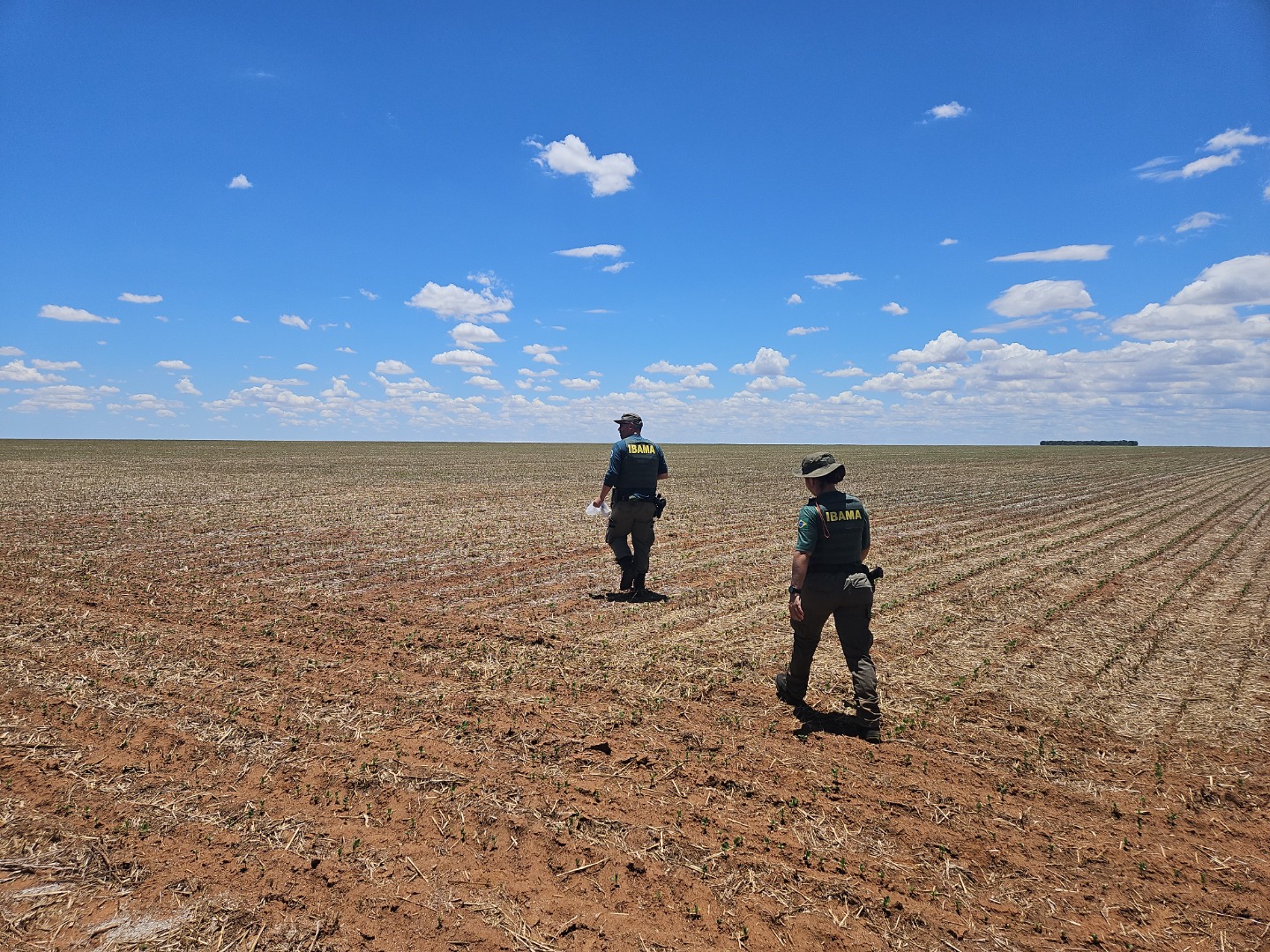 2025-11-21 Fiscais do Ibama durante verificação de plantios irregulares na região de Terra Ronca (GO).jpg