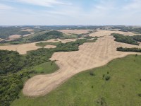 Ibama fiscaliza supressão de campos nativos no RS