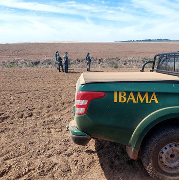 Equipe do Ibama durante a Operação Campereada