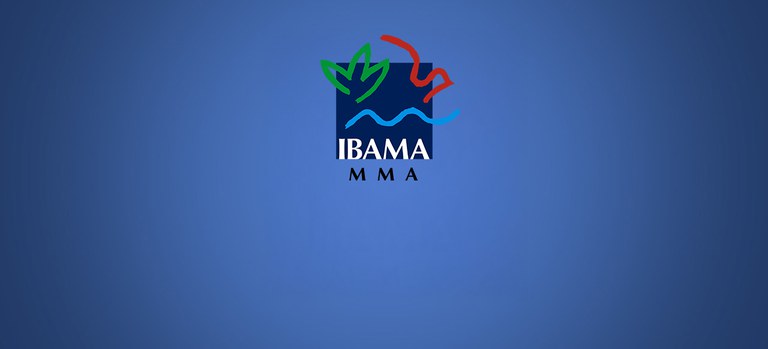 Ibama.jpg