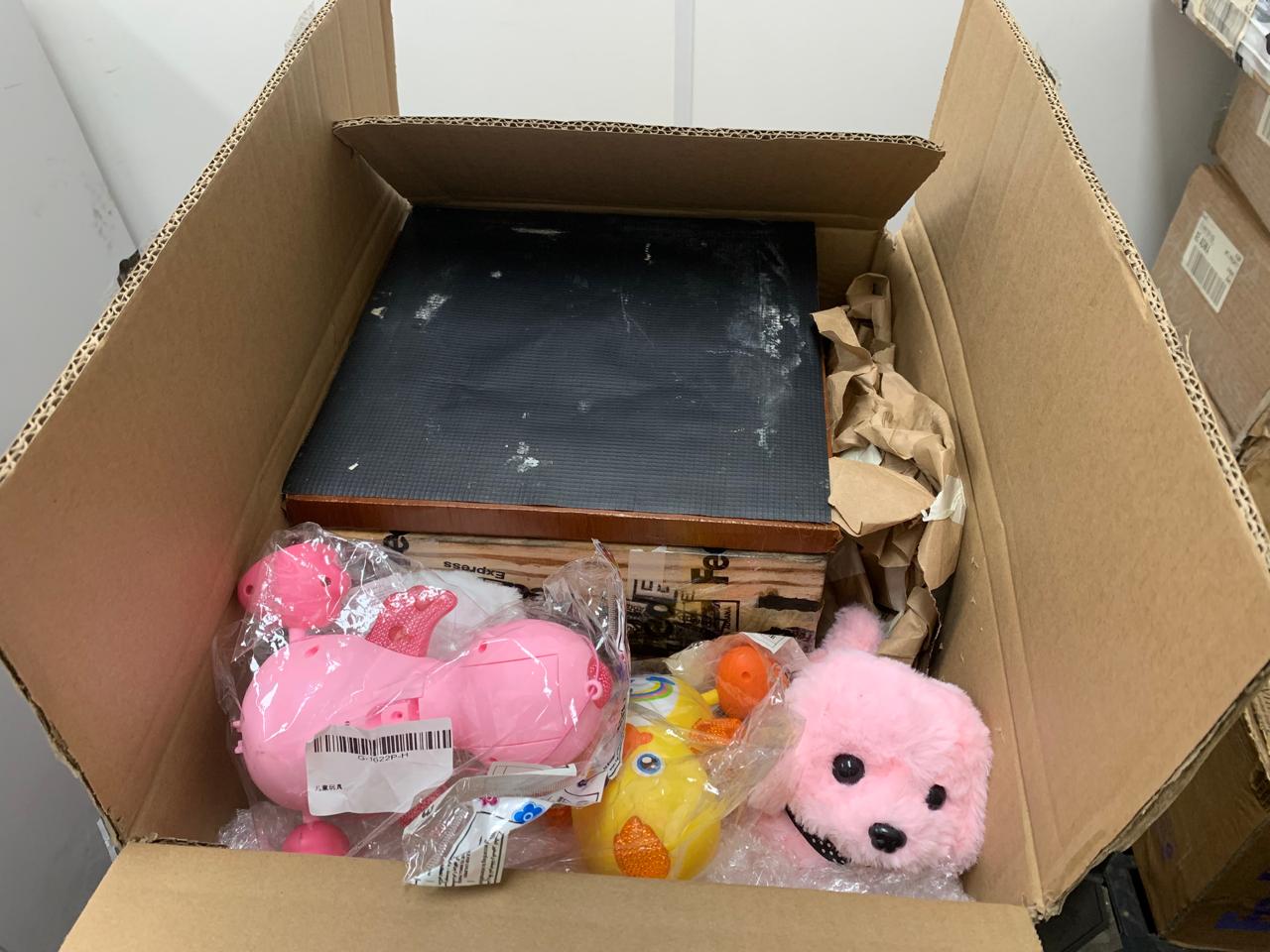 2025-08-01 Colmeia com 400 abelhas estava em caixa com brinquedos de pelúcia.jpeg