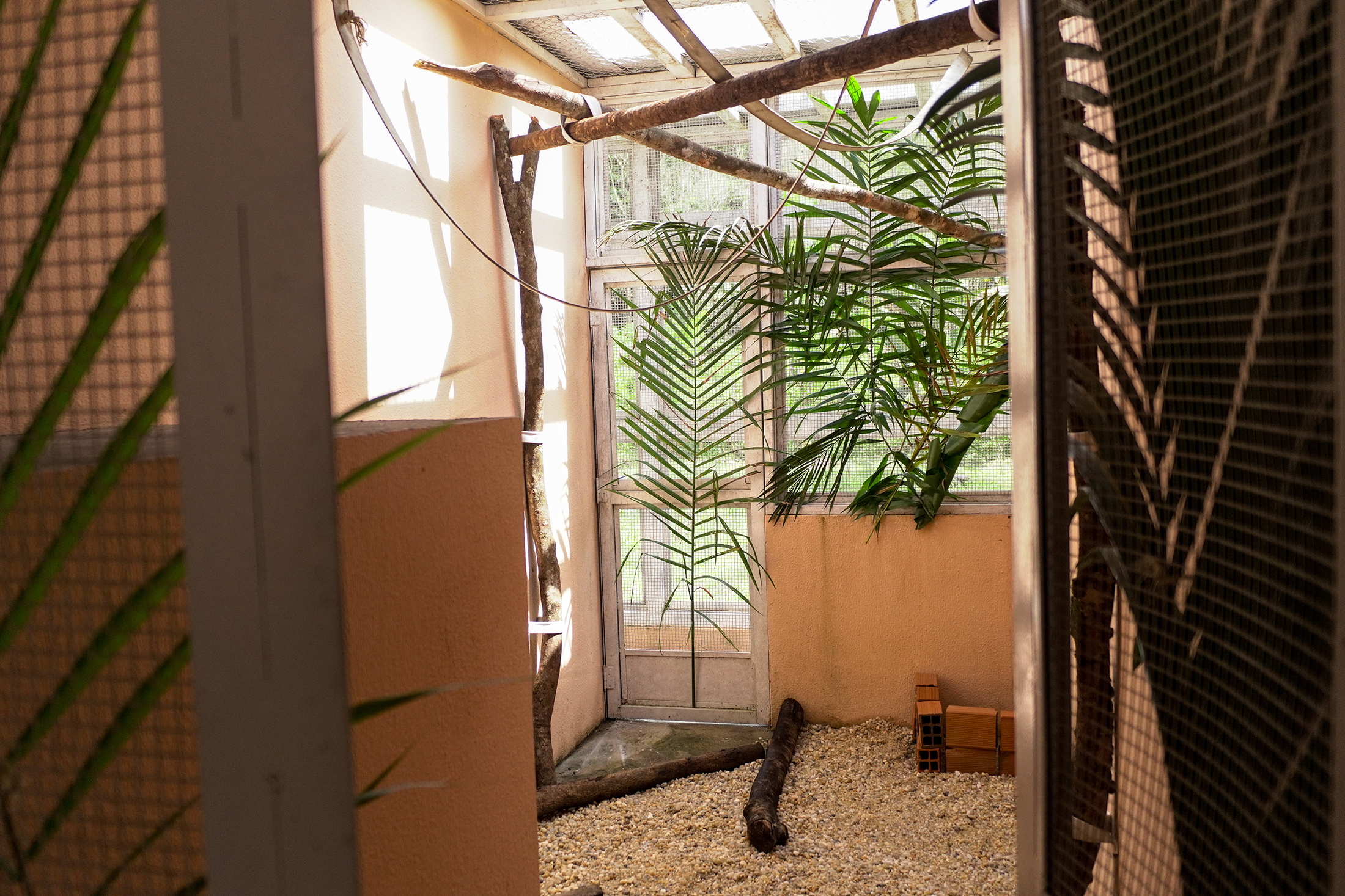 A estrutura conta com 12 recintos para reabilitação de animais silvestres