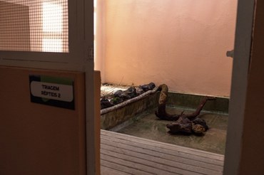 Sala de triagem para répteis no Cetas Benevides/PA