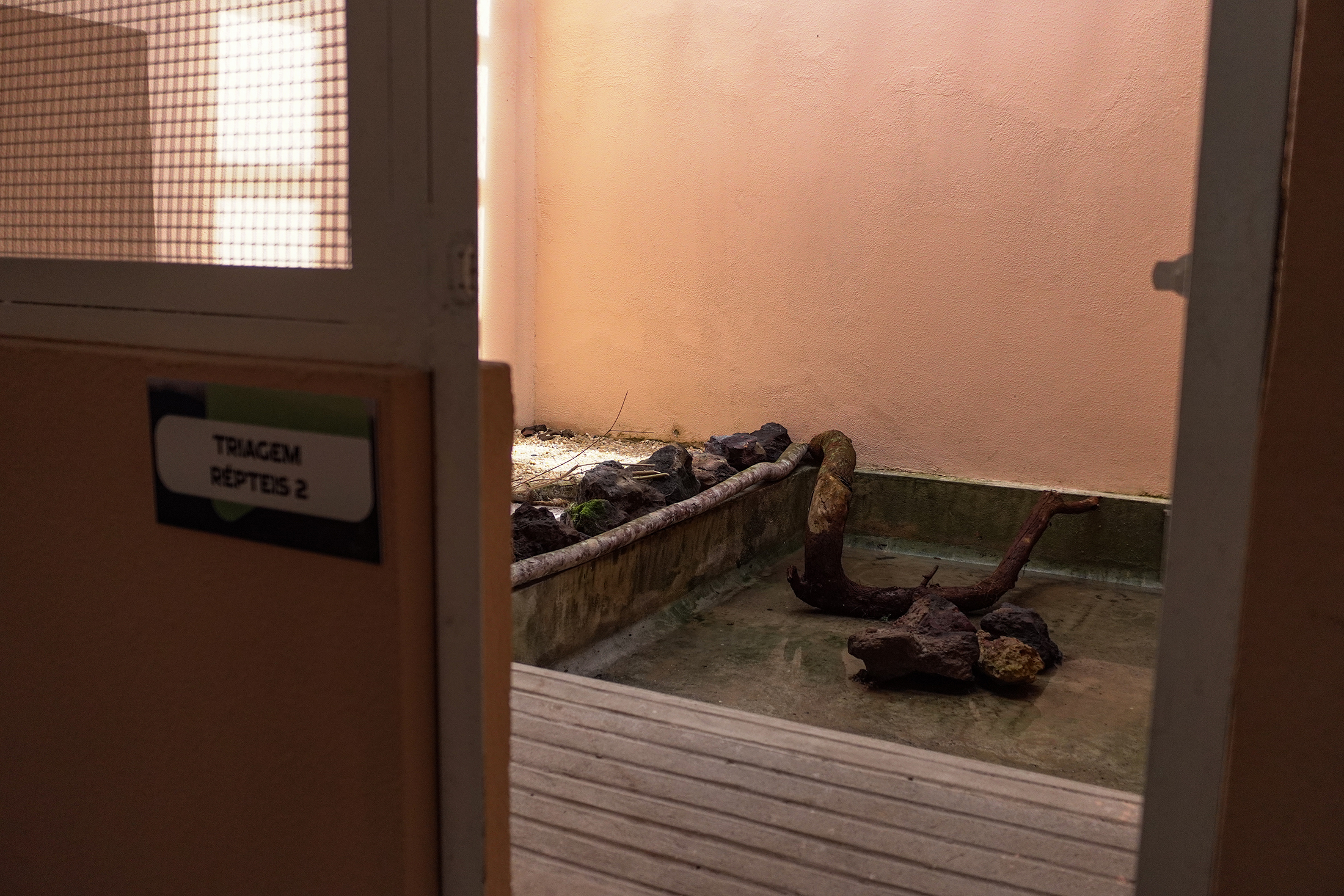 Sala de triagem para répteis no Cetas Benevides/PA