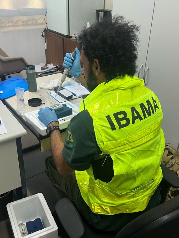 Ibama inicia monitoramento ambiental pós-enchentes no RS