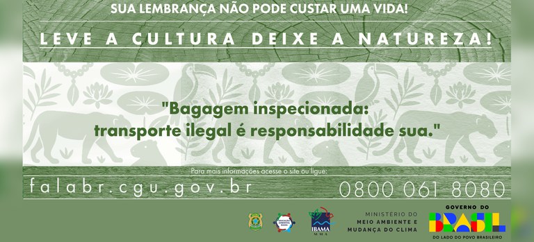 Arte da campanha “Leve a Cultura, Deixe a Natureza”.jpg