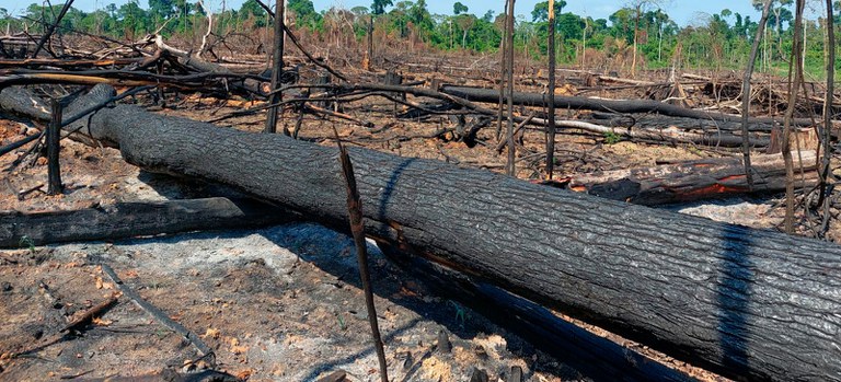 2025-11-25 Fiscais do Ibama em operação na Terra Indígena Trincheira Bacajá.jpg