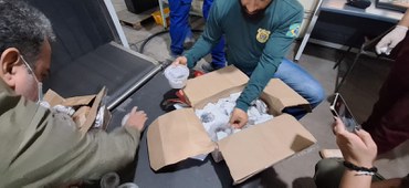 2025-07-03 Animais silvestres vivos estavam em caixas postais no Pará.jpg