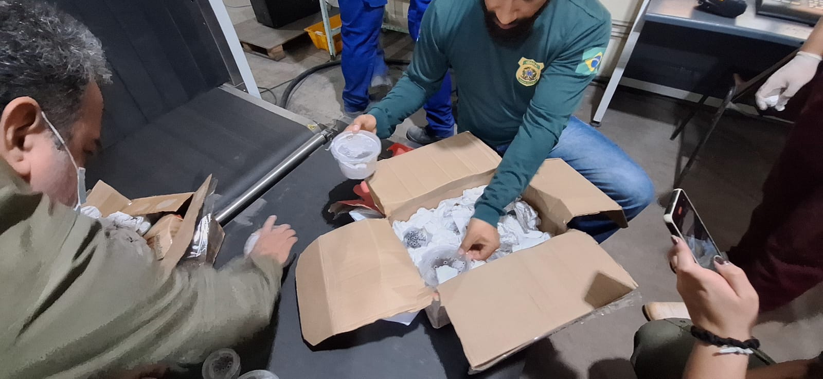 2025-07-03 Animais silvestres vivos estavam em caixas postais no Pará.jpg