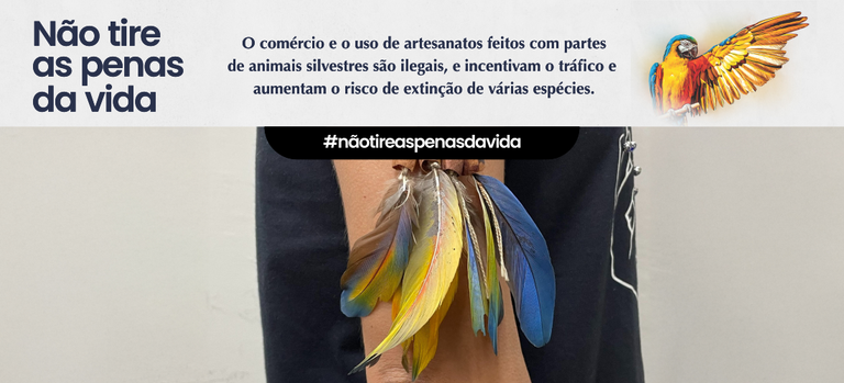 Não tire as penas da vida.png