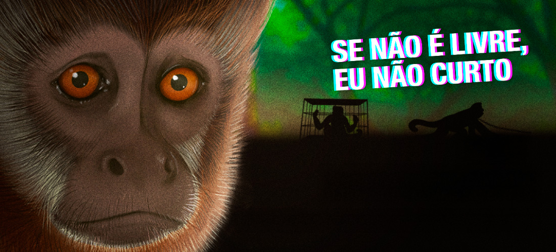 2025-05-22 Se não é livre eu não curto.jpg