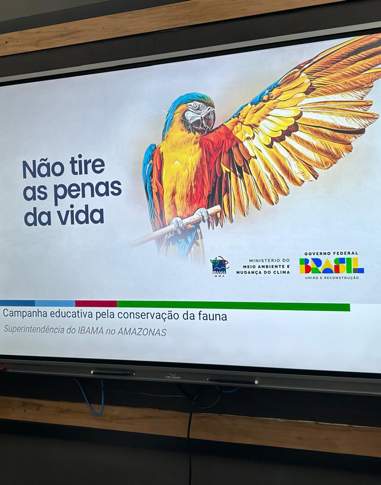 Não tire as penas da vida.jpg