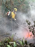 Ibama mantém Operação Pará 2025 – Fase II no combate a incêndios florestais na Amazônia