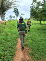 Ibama monitora redes sociais e realiza operação para coibir crimes contra a fauna no Acre