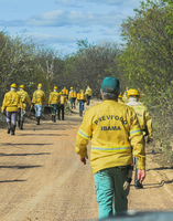 Ibama promove curso de brigadistas indígenas em Pernambuco