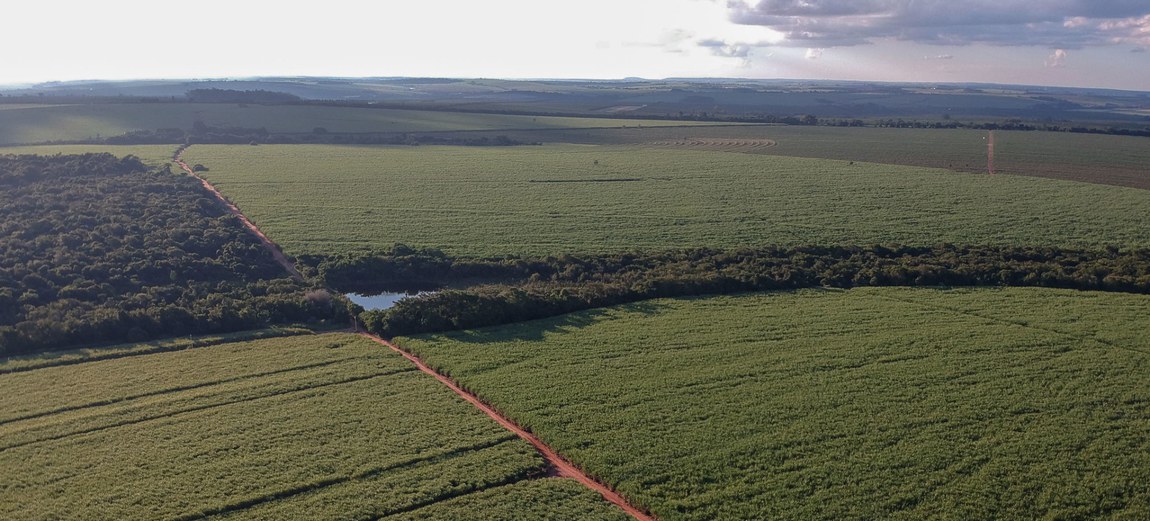 Glifosato continua em 1º lugar; cresceu a venda de bioinsumos; mais de 50% dos produtos registrados não foram comercializados